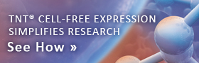 tnt-cell-free-banner-ad-280x90